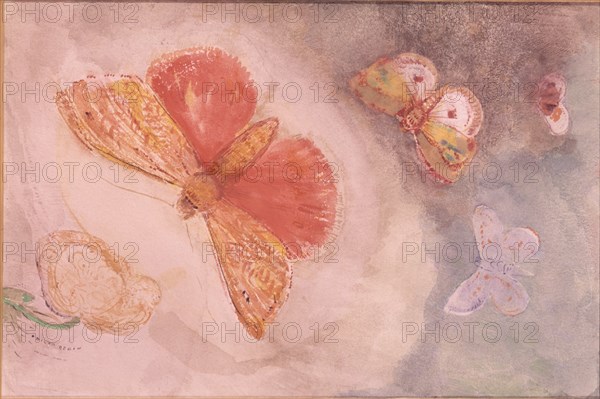 REDON ODILON 1840/1916
MARIPOSAS Y FLORES - 23x15,5
PARIS, MUSEO PETIT PALAIS
FRANCIA

This image is not downloadable. Contact us for the high res.