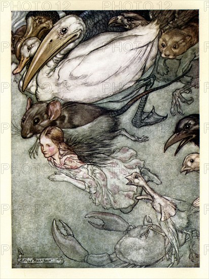 Alice au pays des merveilles, illustration d'Arthur Rackham