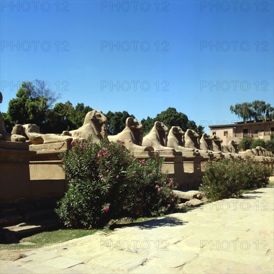 Karnak, Temple of Amon-Ra, processional avenue of sphinxes