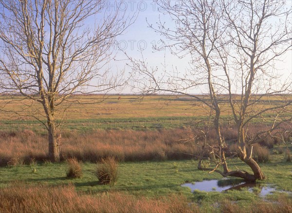 View from the northern road, below the old fort, towards the South