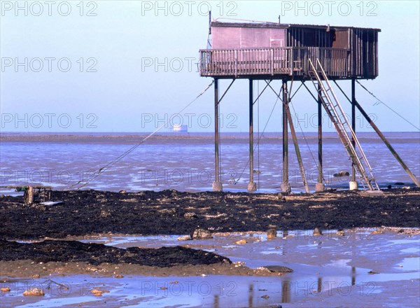View of the lower northern coast, fishing platform, square net