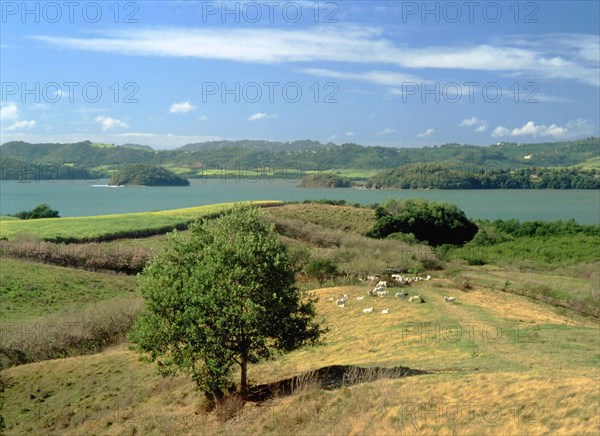 View from route D2 towards Pointe Marcussy and Le Galion islet