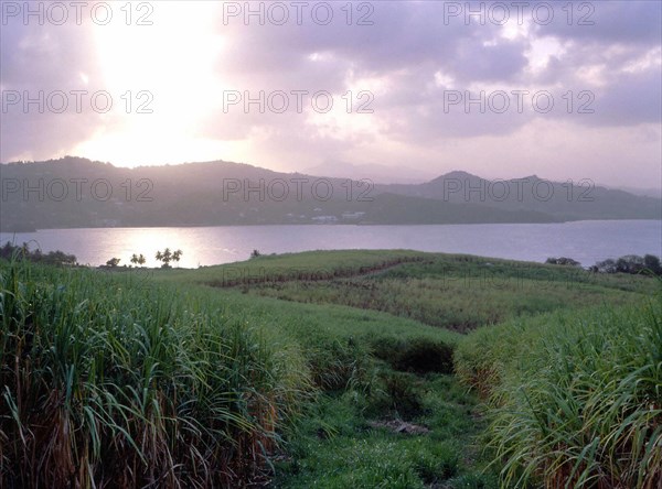 Vue du morne Castagne sur la pointe de la Batterie (ou Spoultourne)