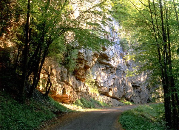 View from route D21, along the Les Alloz  torrent