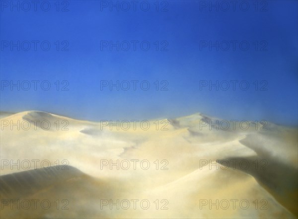 Painted canvas tarp. Desert landscape