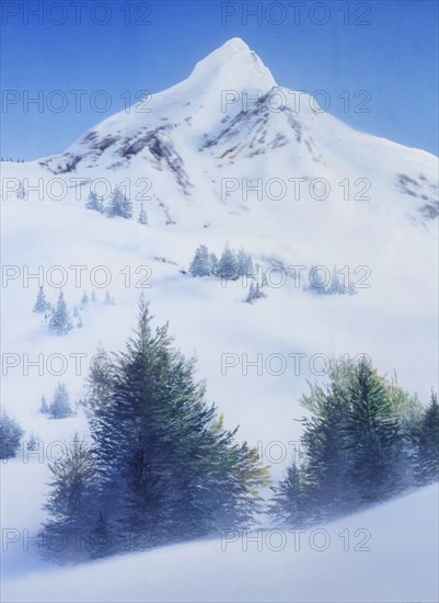 Painted canvas tarp. Mountainous landscape