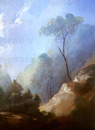 Painted canvas tarp. Rocky landscape