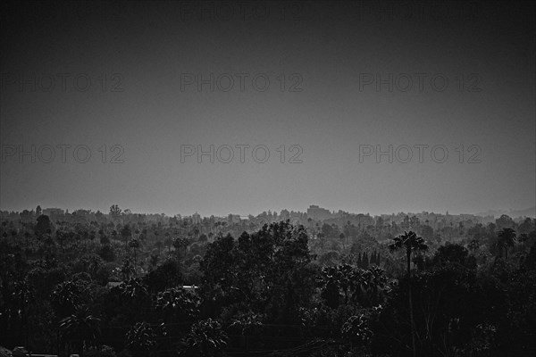 Reportage Los Angeles