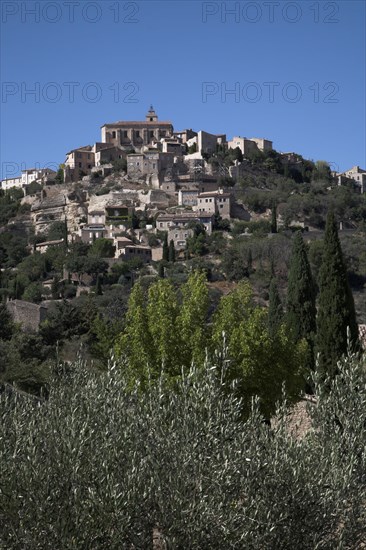 Provence473 Provence, Luberon, village de Gordes, oliviers, été