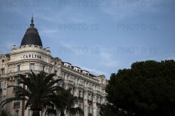 CoteAzur015 Cannes, la Croisette, les palmiers et l'hôtel Carlton