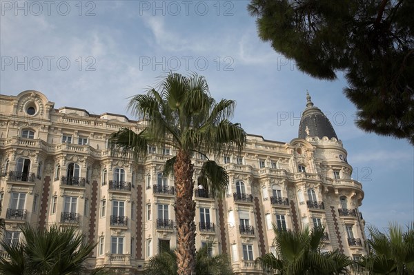 CoteAzur018 Cannes, la Croisette, les palmiers et l'hôtel Carlton (façade)