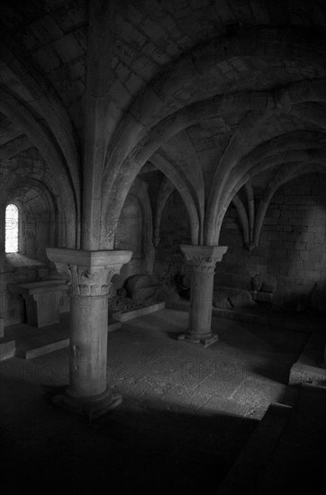 Provence846 Abbaye du Thoronet : la salle capitulaire (architecture gothique, voûte sur croisée d'ogives, colonnes et chapiteaux)