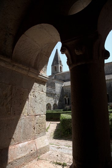 Provence799 Abbaye du Thoronet, vue principale de l'église, du cloître, du jardin, depuis le cloître