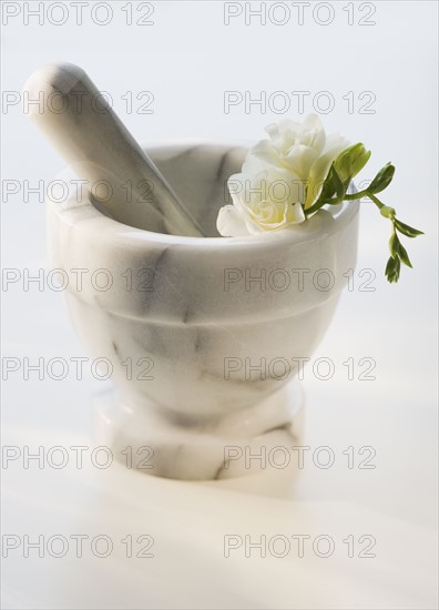 Mortar and pestle with flower.