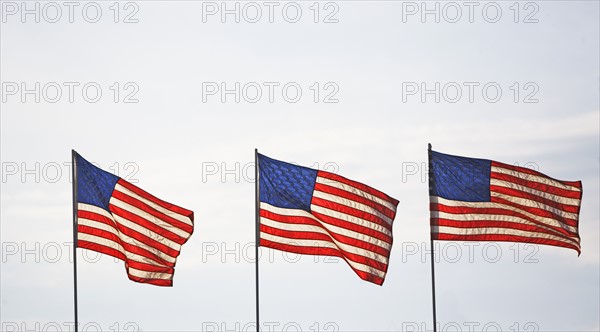 Row of American flags. Date : 2007