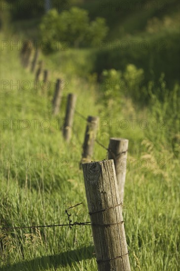 Close up of wooden fence. Date : 2007