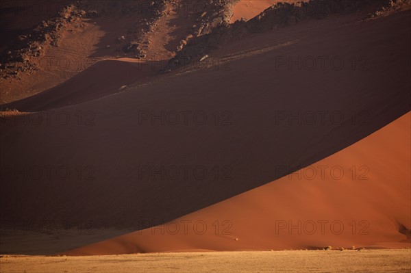 Shadow on sand dune, Namib Desert, Namibia, Africa. Date : 2008