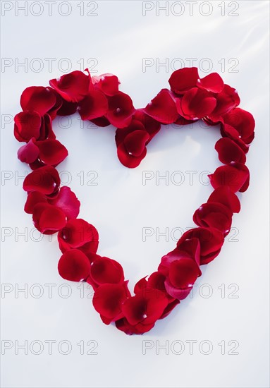 Heart shape made of petals.