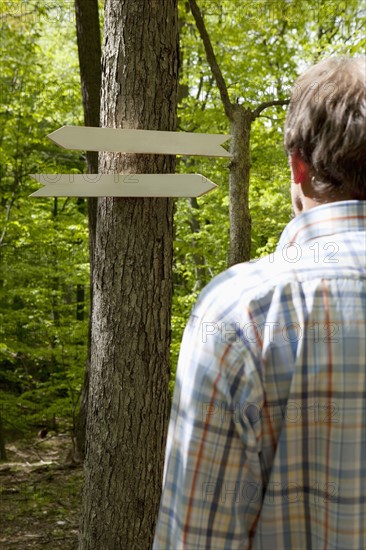 Arrow signs in the woods