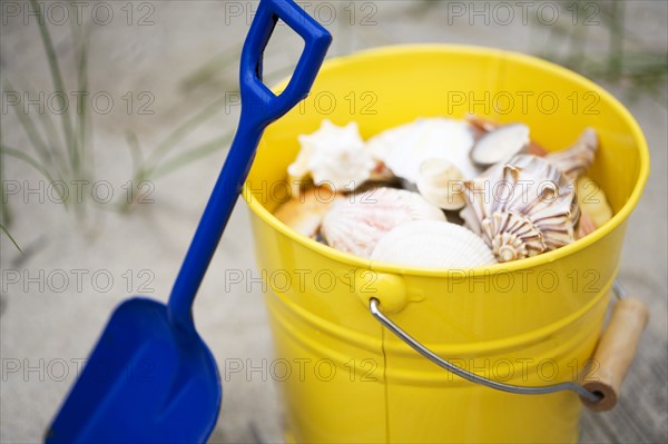 Beach shovel and pail of shells