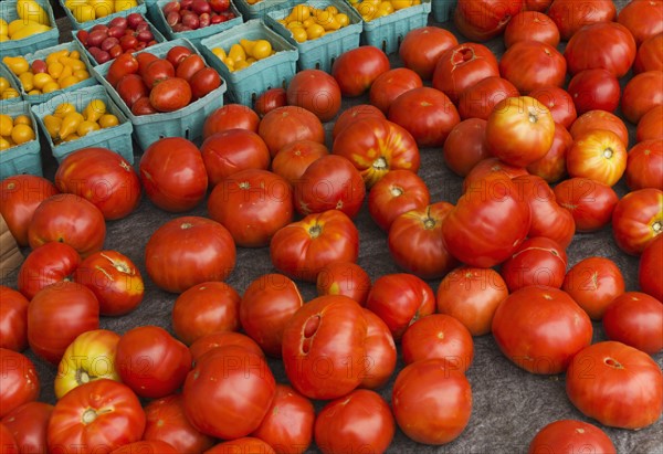 Tomatoes in boxes.