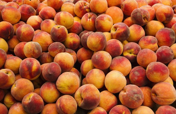 Close up of peaches.