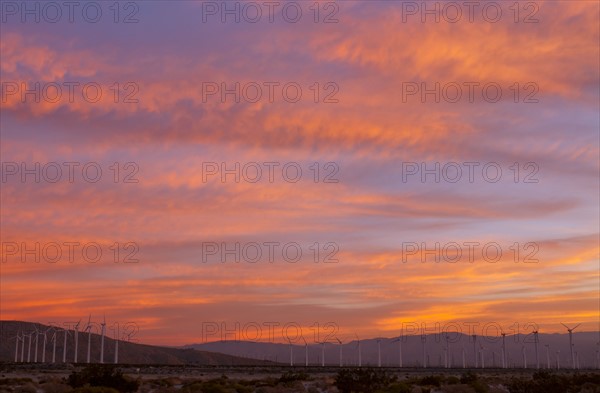 USA, California, Palm Springs, wind turbines at sunrise. Photo : Gary Weathers