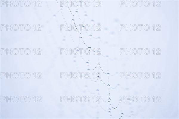 Footprints in snow. Photo: Kristin Lee