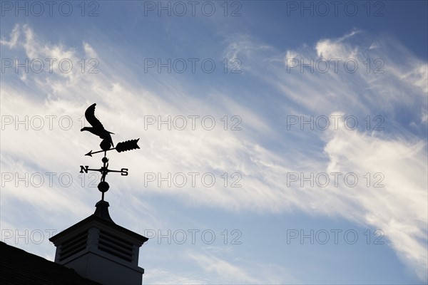 USA, New Jersey, Building top with wind vane. Photo: Chris Hackett