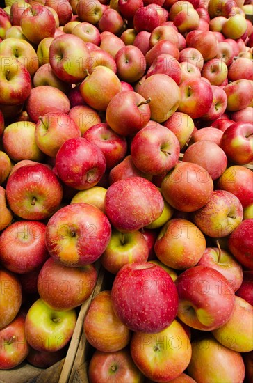 Stack of apples on market stall.