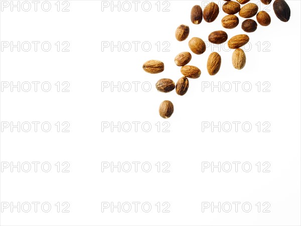 Studio shot of nutmeg. Photo: David Arky
