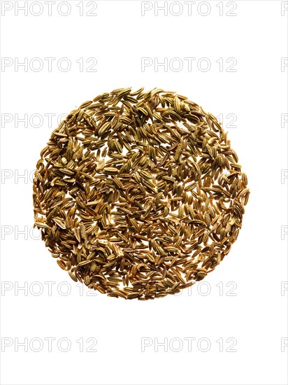 Studio shot of Fennell Seeds on white background. Photo: David Arky