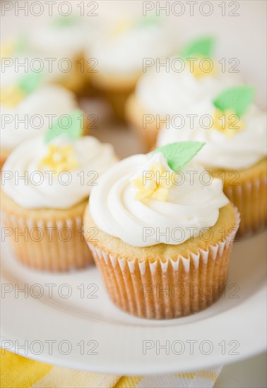 close up cupcakes. Photo: Jamie Grill