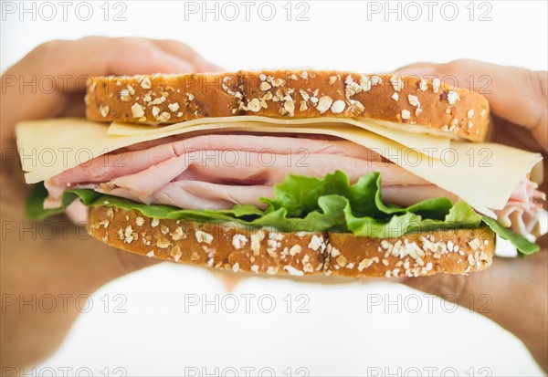 Hands holding turkey sandwich.
