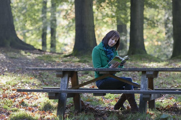The Netherlands, Veluwezoom, Posbank, Woman reading book in park. Photo: Jan Scherders