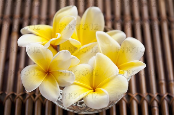 Vase with plumeria bouquet. 
Photo: Kristin Lee