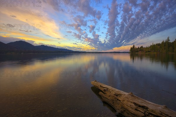 USA, Washington, Lake Quinault at sunset. 
Photo: Gary Weathers