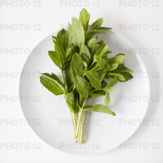 Bunch of mint on plate, studio shot. 
Photo: Jessica Peterson