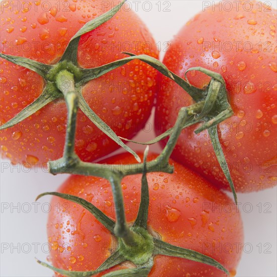 Studio Shot of fresh tomatoes. Photo: Jamie Grill