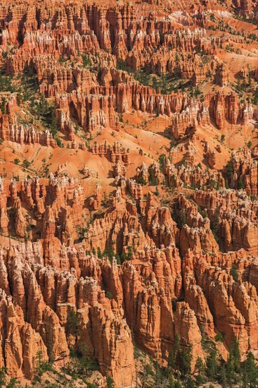 Bryce Canyon.