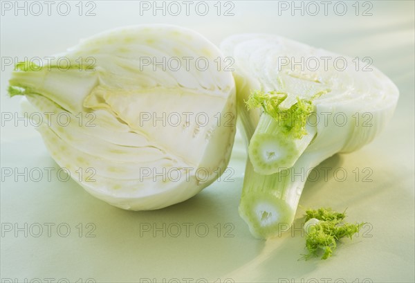 Studio Shot of fennel. Photo : Daniel Grill