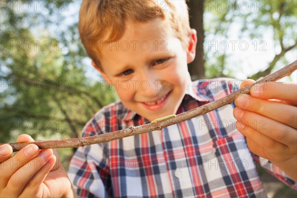 Little boy (6-7) holding stick with caterpillar on it