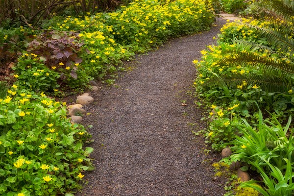 Garden path