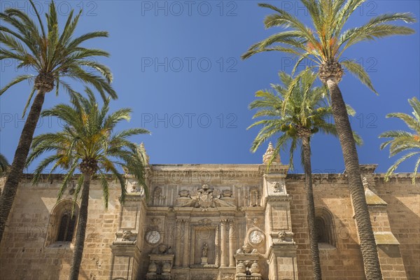 Palm trees in front of Cathedral of Almeria. Almeria, Spain.