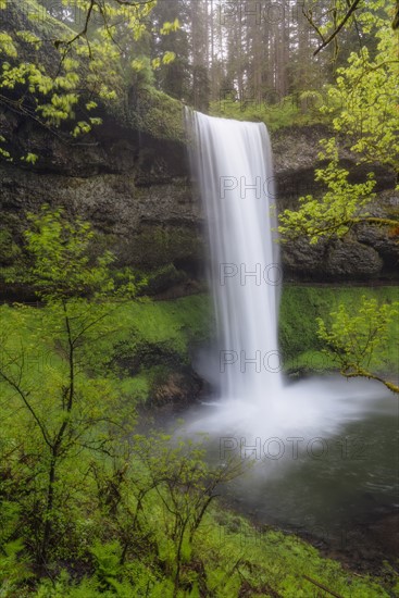 Waterfall in forest