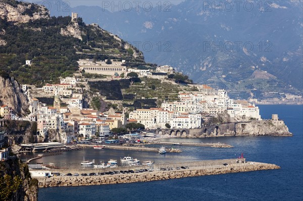 Marina with town in background