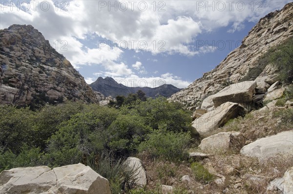 Nevada, Red Rock Canyon, Landscape with rock mountains