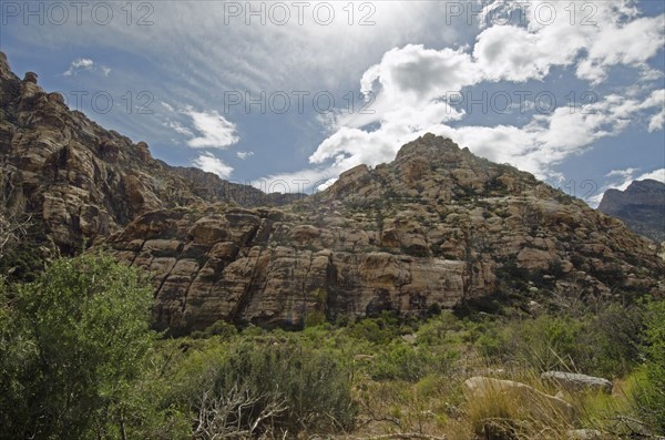 Nevada, Red Rock Canyon, Landscape with rock mountains