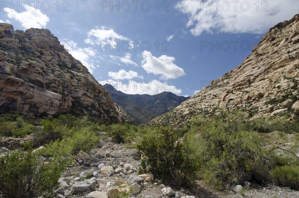 Nevada, Red Rock Canyon, Landscape with rock mountains