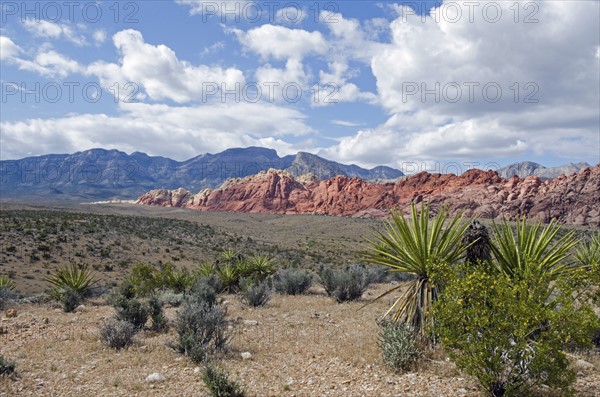 Nevada, Red Rock Canyon, Landscape with rock mountains